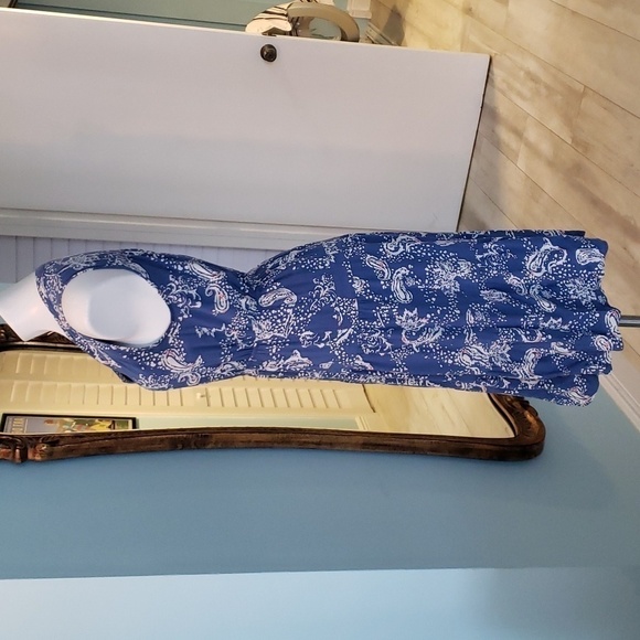 DR2 Blue Paisley Sleeveless Dress - Picture 3 of 7